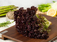 Салат Лолло Росса 1 шт