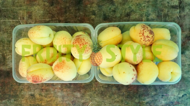 Абрикос (Средняя Азия) 500 гр