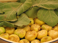 Инжир Узбекский Медовый 500 гр