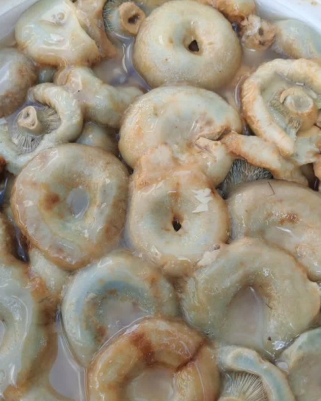 Груздь мохнатый 1 литр