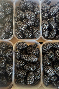 Ежевика импортная 500 гр 