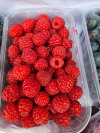 Малина Премиум Мексика 100 гр