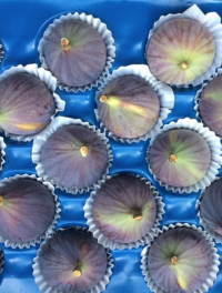 Инжир Импортный 1 кг