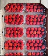 Клубника ( Армения ) 500 гр