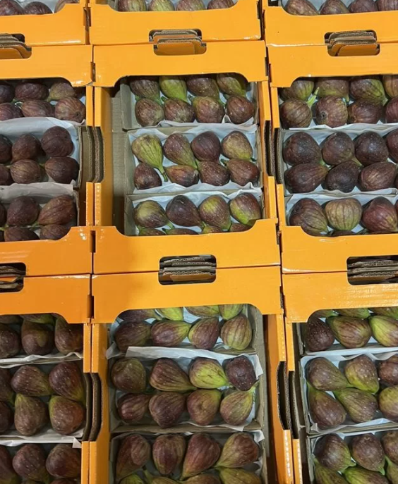 Инжир Иран 500 гр Инжир Иран 500 гр