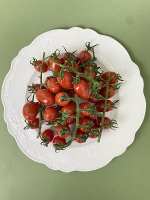 Томаты черри сливовидные на ветке сладкие 2 кг