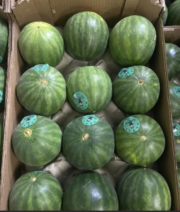 Мини арбуз 1 ящик 10 шт