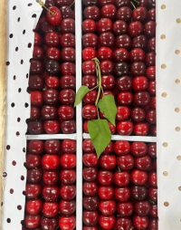 Черешня Узбекистан на вал деревянный ящик 6-7 кг 1 ящик