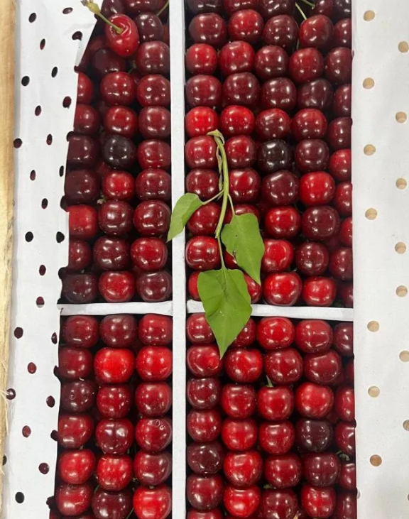 Черешня Узбекистан на вал деревянный ящик 6-7 кг 1 ящик