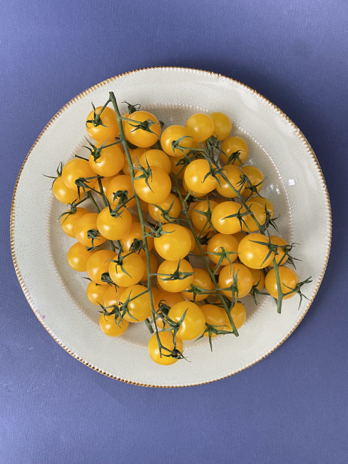 Томаты черри желтые на ветке 2 кг