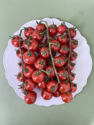 Томаты черри на ветке ФЛАМЕНКО 1,6 кг