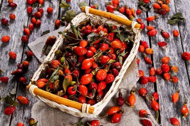 Шиповник свежий 1 кг