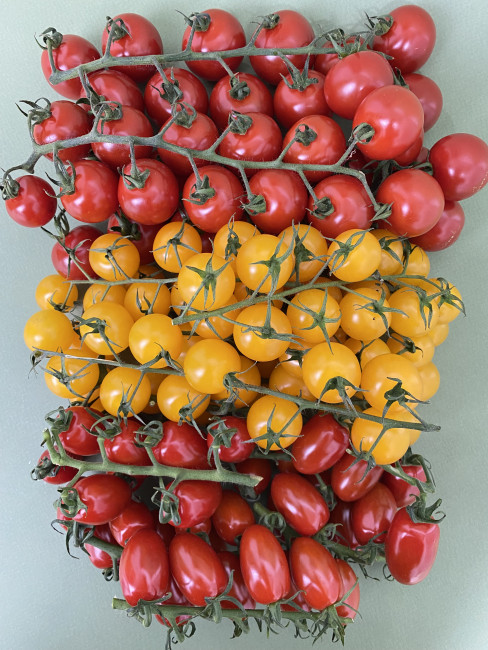 Томаты черри ассорти 5,6 кг