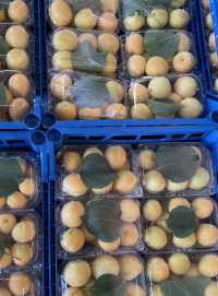 Урюк (Узбекистан) 1кг