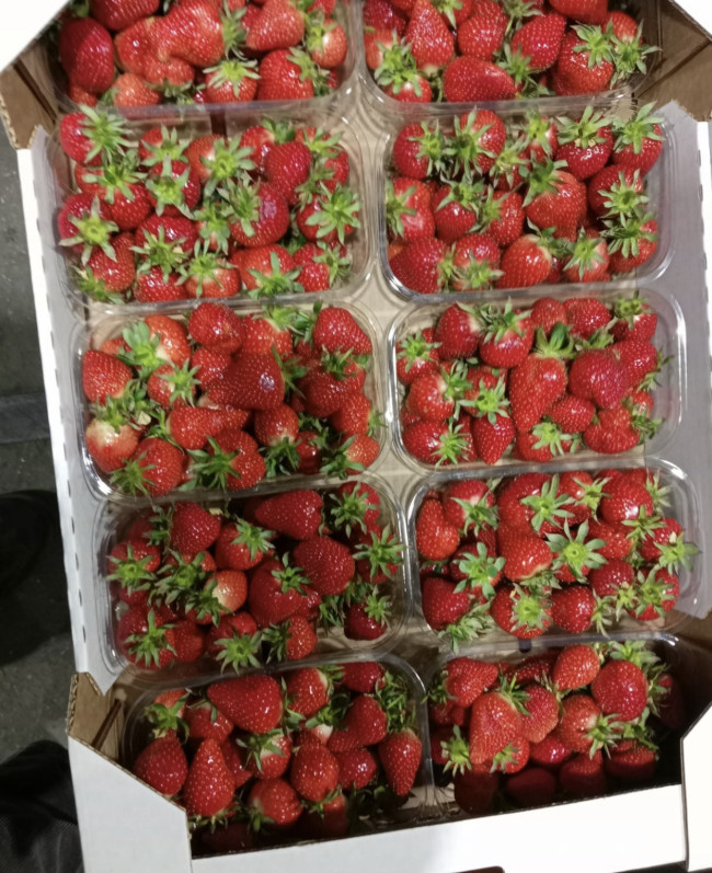 Клубника отборная, сладкая оптом Крымская  (5 коробок) 25 кг