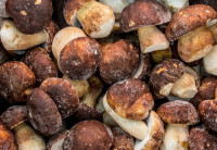 Подосиновики замороженные целые, 1 кг