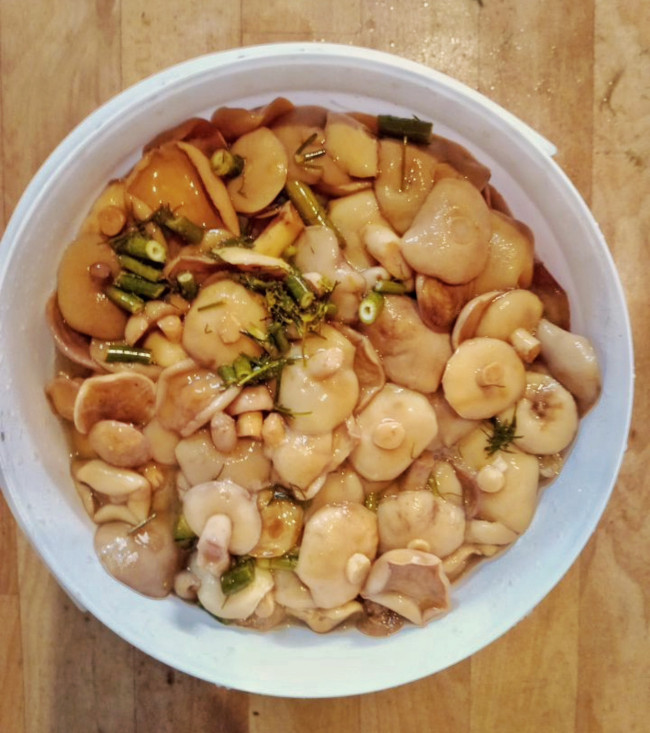 Грибы солёные Маслята сорт "Элитный" 1 литр