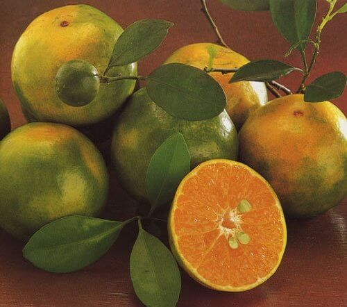 Мандарины Таиланд ( tangerine ) 1кг Мандарины Таиланд ( tangerine ) 1кг