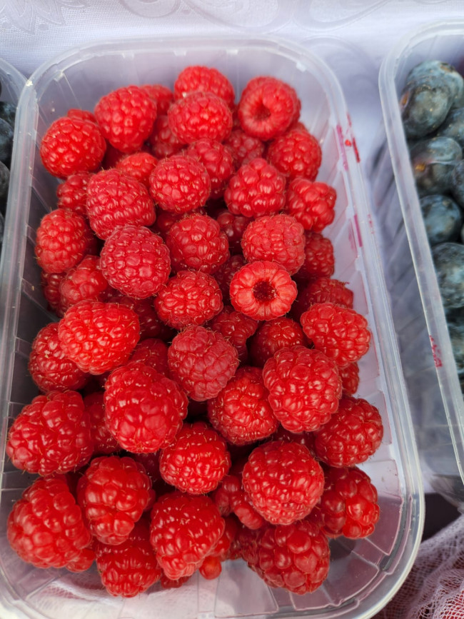 Малина Крымская ОПТОМ 5 кг Малина Крымская ОПТОМ 5 кг