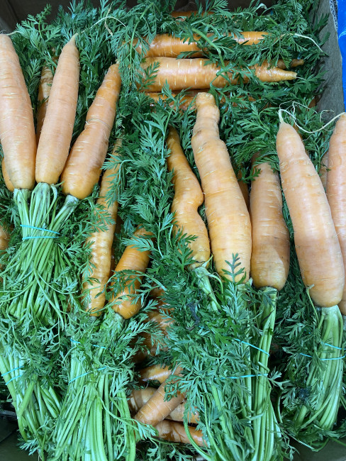 Морковь с ботвой 3 пучка