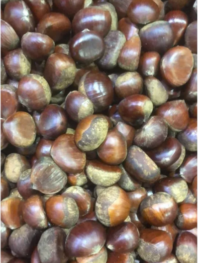 Каштан съедобный 5 кг Каштан съедобный 5 кг