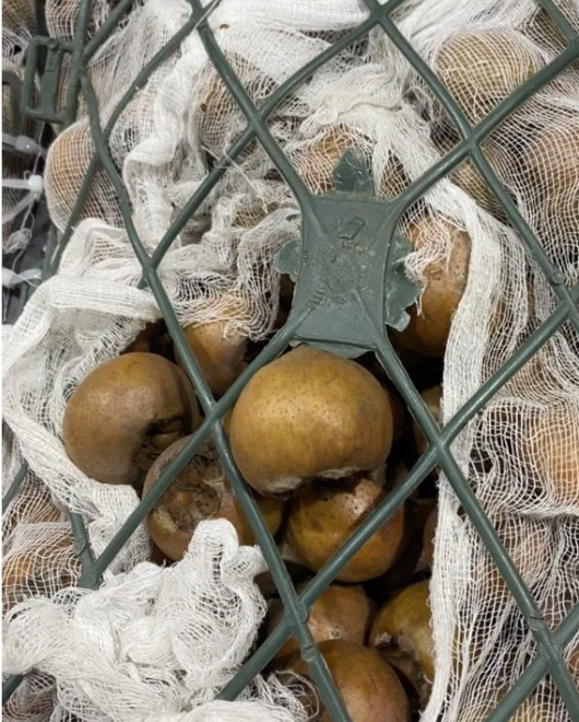 Мушмула импортная 3 кг