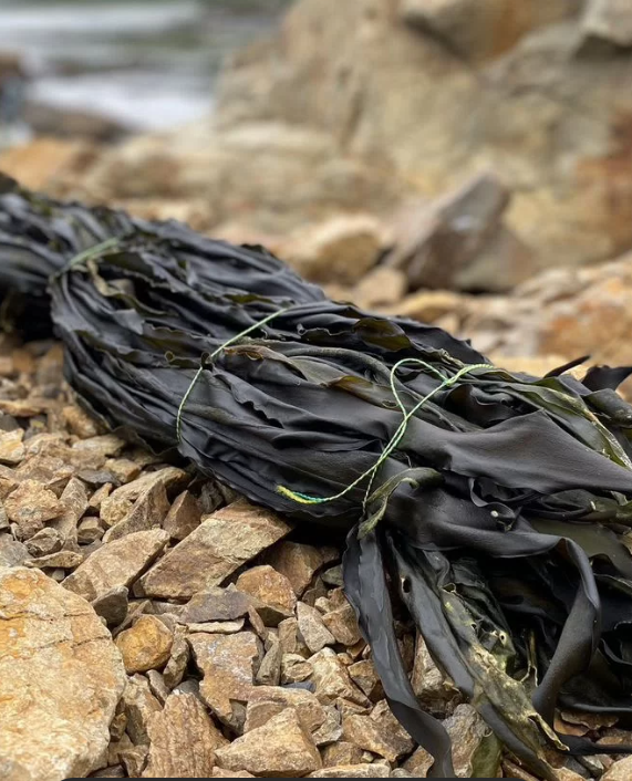 Водоросли ламинарии сушеные 3 кг