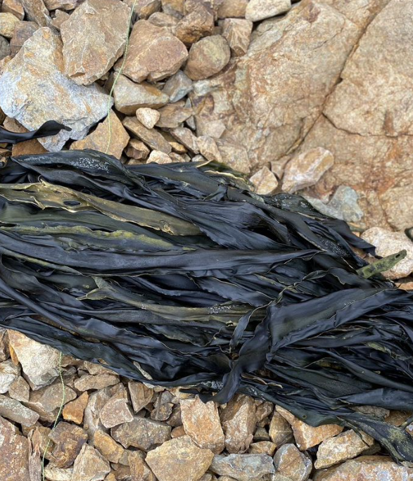 Водоросли ламинарии сушеные 3 кг