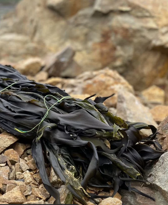 Водоросли ламинарии сушеные 3 кг