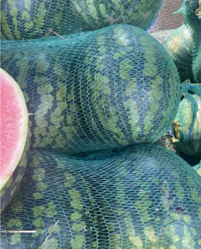 Арбуз холодок 1 кг