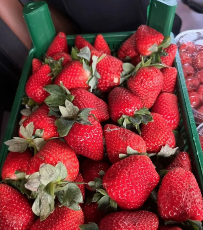 Клубника Краснодар 1 кг