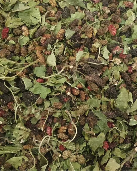 Веточки шелковицы с ягодами сушеные ( Крым ) 500 гр