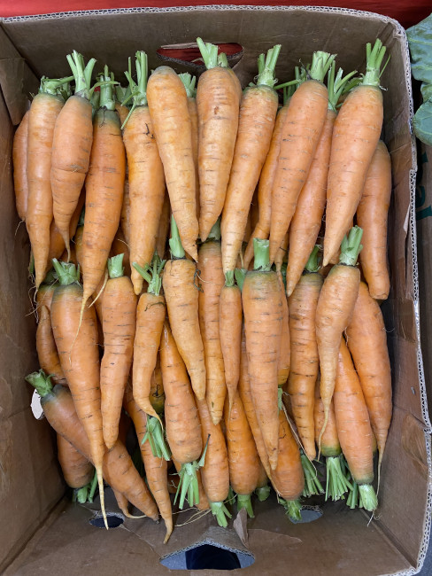 Морковь молодая 1 кг