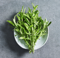 Тархун ( Эстрагон ) 1 пучок