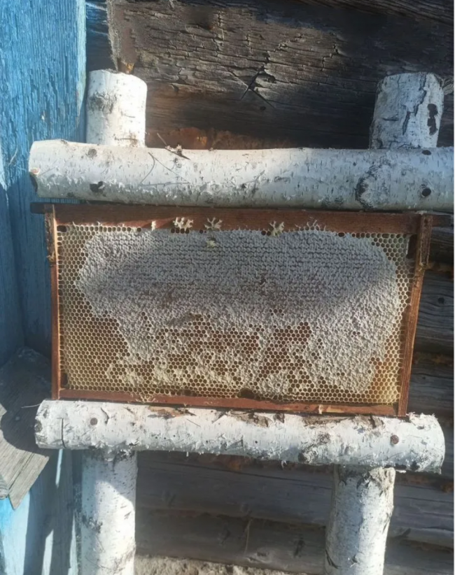 Северный Карбызинский мёд высшего сорта РАЗНОТРАВЬЕ (напрямую с Тайги) 250 мл