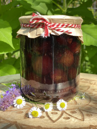 Варенье из сливы ТЕРН 800гр (домашнее)