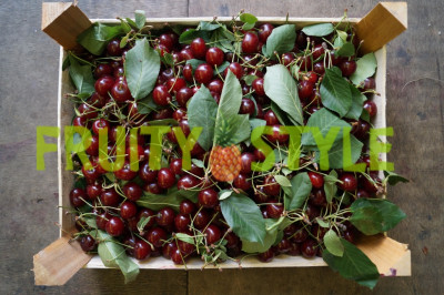 Вишня ( Воронеж ) 500 гр